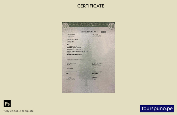listo para imprimir plantilla de certificado de nacimiento del hospital St Peter